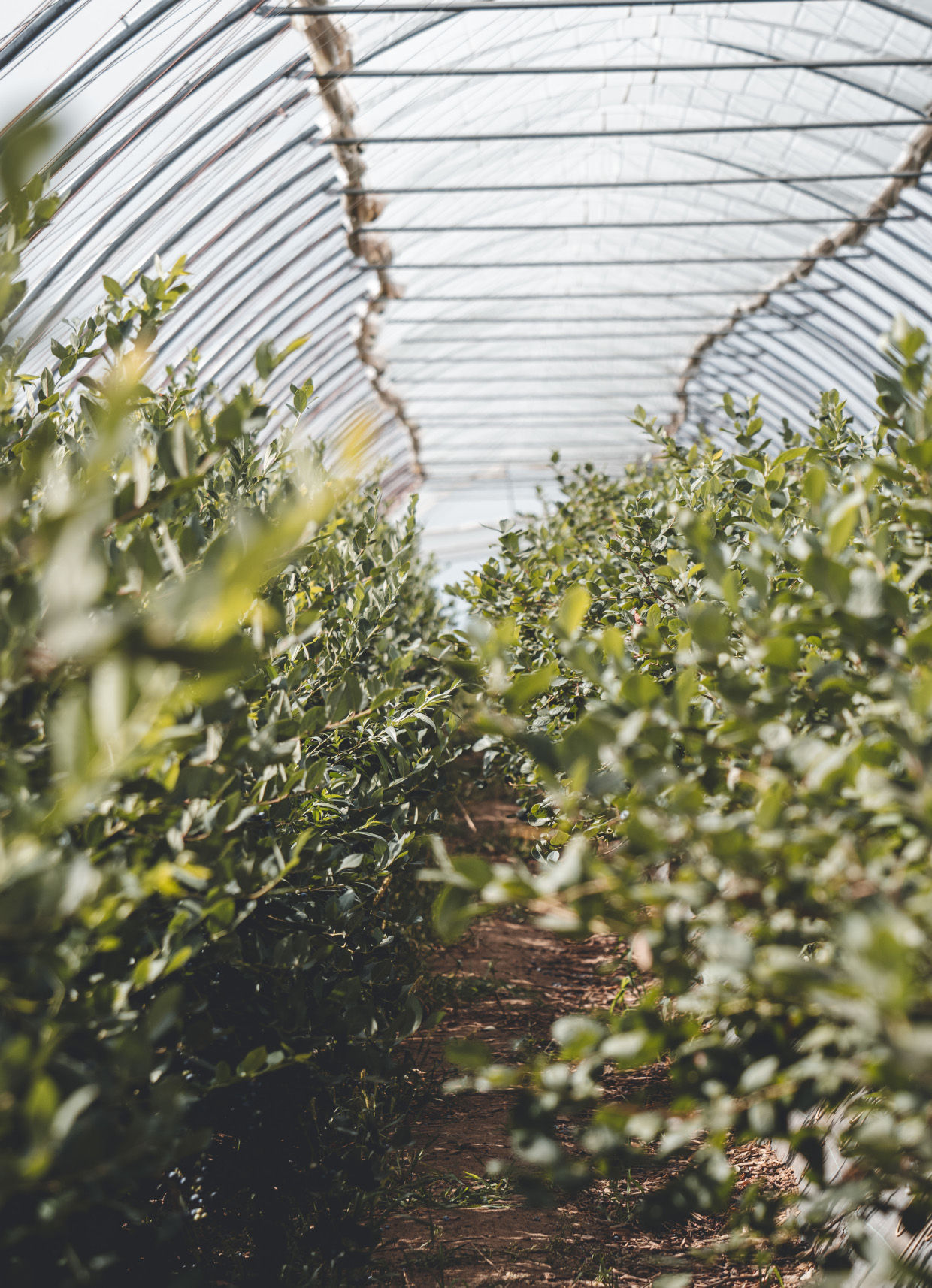 Obrázek galerie- 12